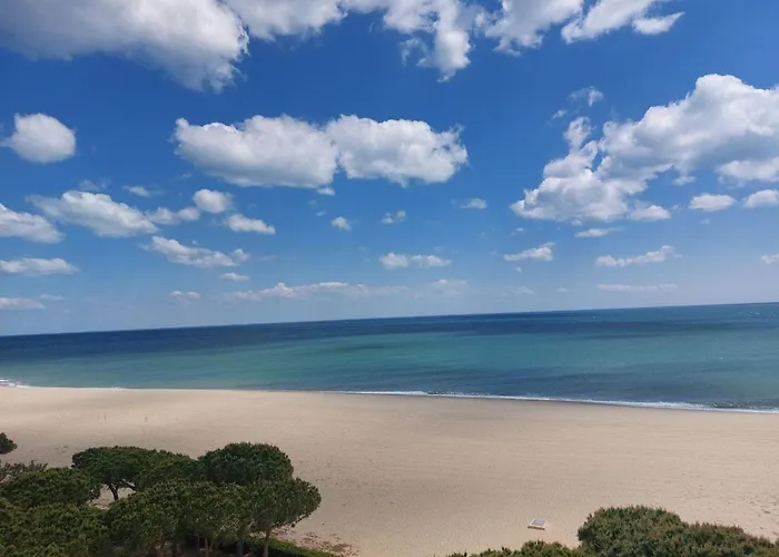 Argeles, T2 Proche Avec Clim Et Parking - Fr-1-776-37 דירה *