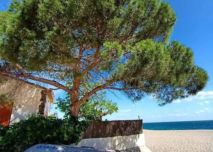 Argeles, T2 Proche Avec Clim Et Parking - Fr-1-776-37 דירה *