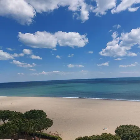 Argeles, T2 Proche Avec Clim Et Parking - Fr-1-776-37 Apartment *